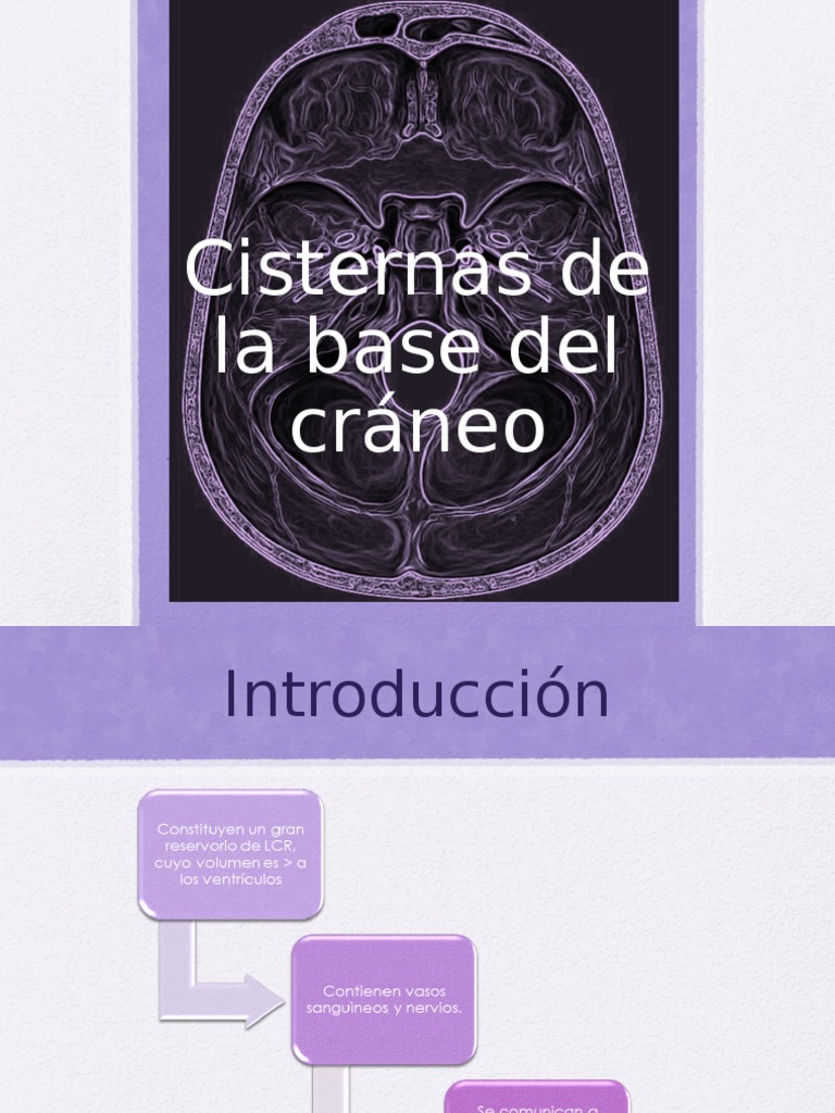 Cisternas de La Base | Cerebelo | Anatomía humana