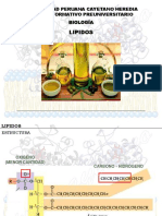 documento2008-I_LIPIDOS.pdf