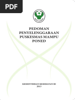 Download PEDOMAN-PUSKESMAS-PONED-2013pdf by yunita SN356812289 doc pdf