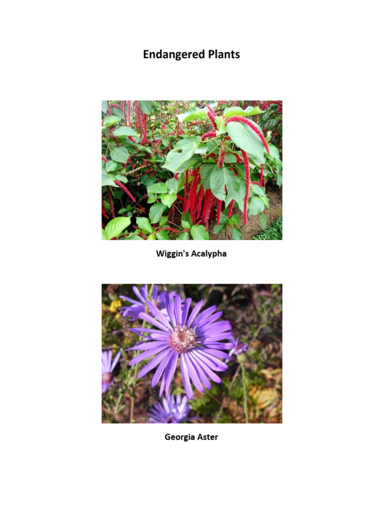 A Report on Rare and Endangered Plant Species in Georgia, Highlighting