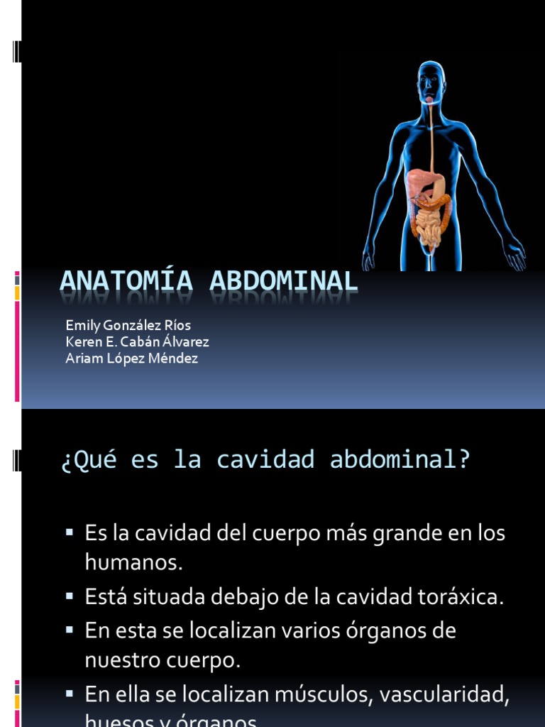Anatomia Abdomen | Abdomen | Hígado