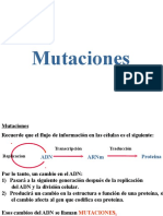 Mutaciones