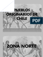Powerpoint Disertacion Pueblos Originales Chilenos PDF