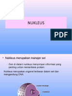 4.biologi Sel-Nukleus