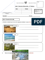 Prueba segundo básico Cs Naturales