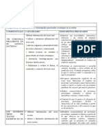 Matriz Competencia Capacidades e Indicadores