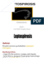 Review Leptospirosis