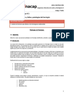 G02 - Laboratorio de Suelos y Hormigones II - Fallas y Patologias Del Hormigón PDF
