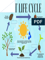 Plant Life Cycle 1