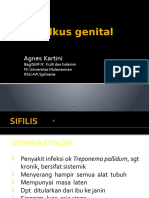 Ulkus Genital