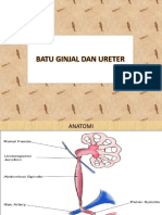 Batu Ginjal Dan Ureter 2