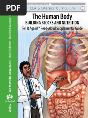 Human body