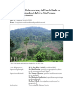 Resumen Tesis Doctoral-Selva Alta