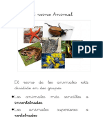 Ud 4 El Reino Animal PDF