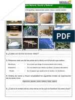 Fichas Unidad 1 PDF