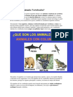 Animales Vertebrados.docx