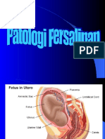 Patologi_Persalinan.ppt