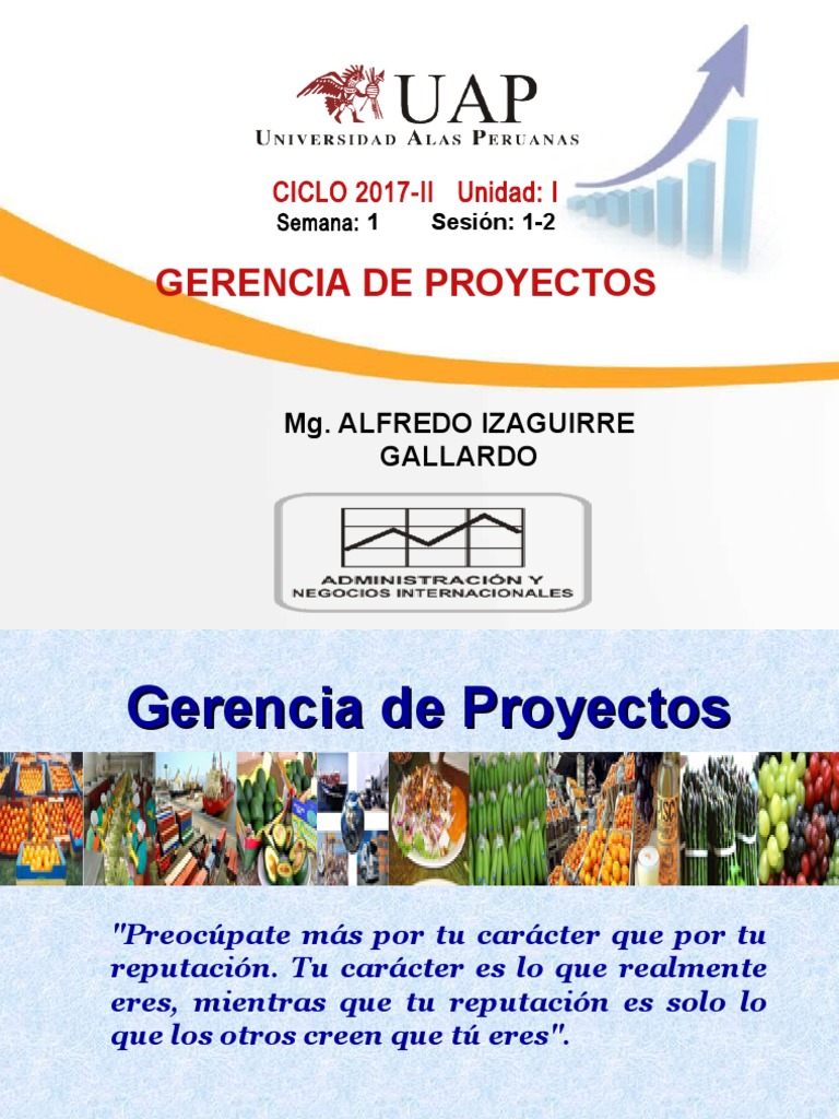 Introducción a la Gerencia de Proyectos | PDF | Gestión de proyectos ...