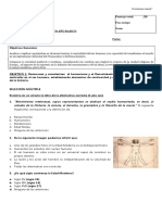 Evaluacion Sumativa Nº1 Diferenciada