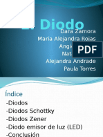 El Diodo 1001