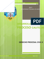 Desarrollo Del Proceso Cautelar