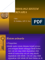 Fisiologi Sistem Urinaria