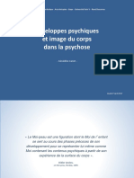 Canet Enveloppes Psychiques 170427 - Copie