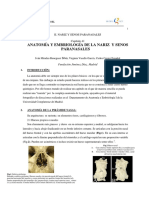 041 - Anatomía y Embriología de La Nariz y Senos Paranasales PDF