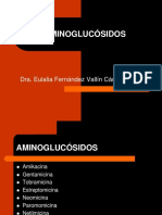 expo aminoglusiodos.pptx