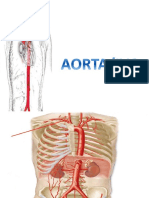 Aorta Ivc Presenta
