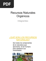 Recursos Naturales Orgánicos TEORIA