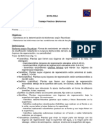 TP Bioformas PDF