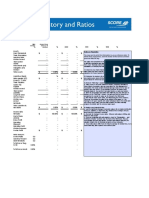 Financial History & Ratios: Enter Your Company Name Here