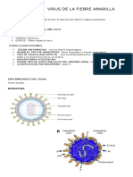 Fiebre Amarilla Virus: Clasificación y Enfermedades