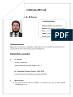 Modelo Curriculum Vitae Ejecutivo