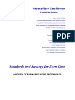 National Burn Care Review PDF