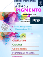 (2016.08.23) Alcívar - Guzmán - Hugo - Pigmentos