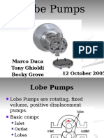 Lobe Pumps