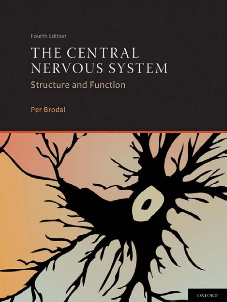 The Central Nervous System | PDF | Neuron | Autonomic Nervous System