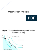 Optimization Principle