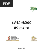 BIENVENIDO MAESTRO 2013.pdf