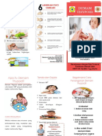 Leaflet Demam Thypoid PDF