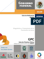 Guia de La Coartacion de La Aorta PDF