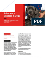 ASK - Common Pulmonary Diseases in Dogs