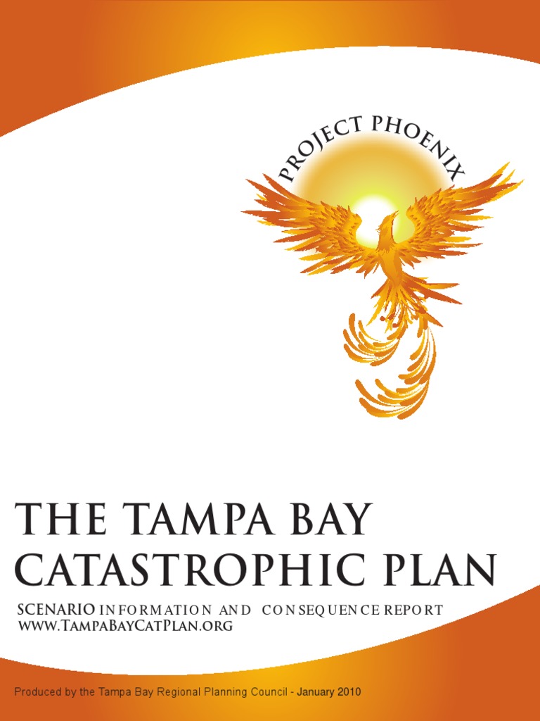 download phoenix project pdf