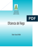 Eficiencia PDF
