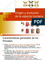 Origen Evolucion