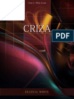 Criza.pdf