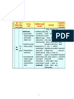 Tabel Identificare Riscuri PDF