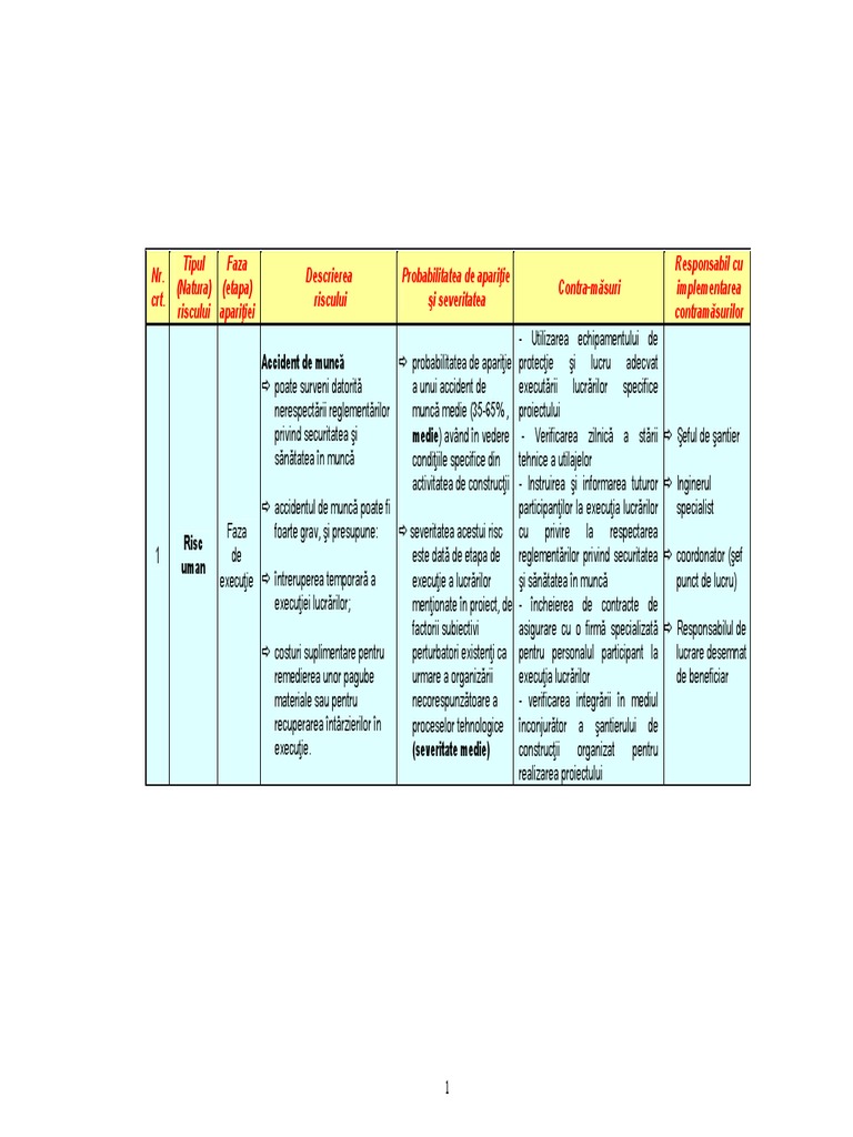 Tabel Identificare Riscuri PDF | PDF